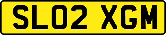 SL02XGM