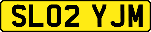 SL02YJM