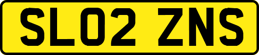 SL02ZNS