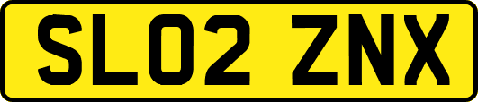 SL02ZNX
