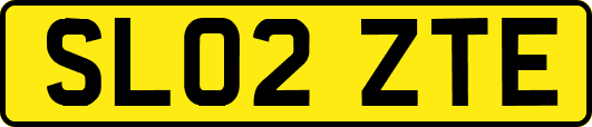 SL02ZTE