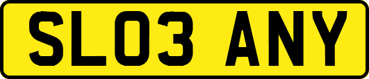SL03ANY