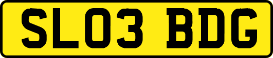 SL03BDG