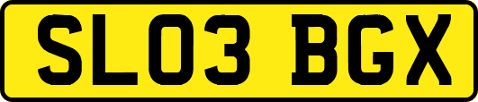 SL03BGX