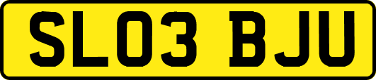 SL03BJU