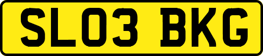 SL03BKG