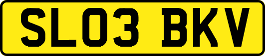 SL03BKV