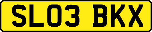 SL03BKX
