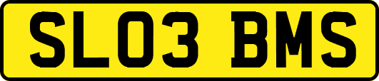 SL03BMS