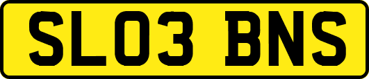 SL03BNS