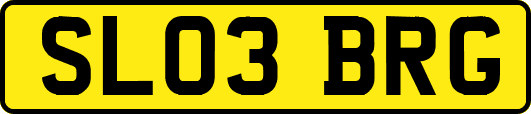 SL03BRG