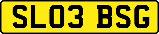 SL03BSG
