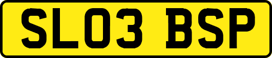 SL03BSP