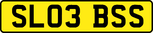 SL03BSS