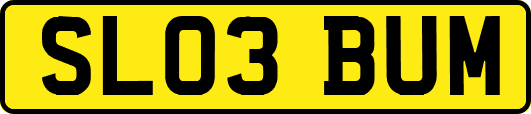 SL03BUM
