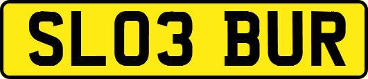 SL03BUR