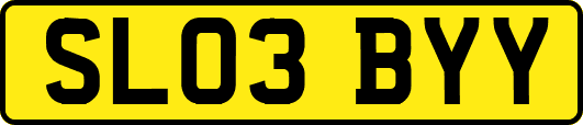 SL03BYY