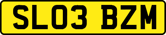 SL03BZM