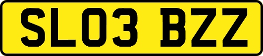 SL03BZZ
