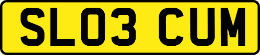 SL03CUM