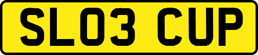 SL03CUP