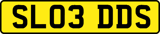 SL03DDS