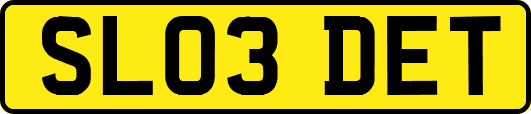 SL03DET