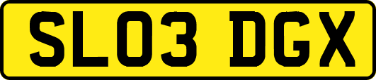 SL03DGX