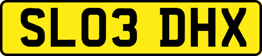 SL03DHX