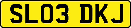 SL03DKJ