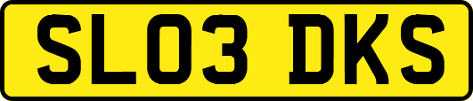 SL03DKS