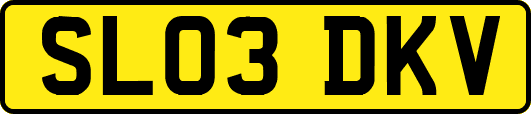 SL03DKV