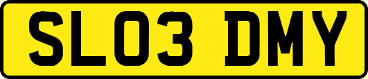 SL03DMY