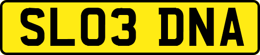 SL03DNA