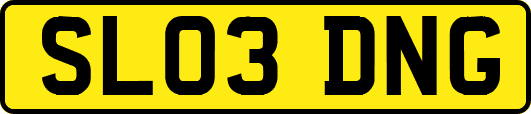 SL03DNG