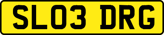 SL03DRG