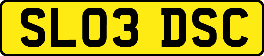 SL03DSC