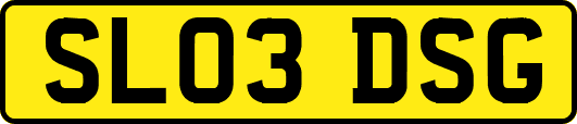 SL03DSG