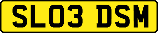SL03DSM