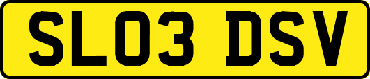 SL03DSV