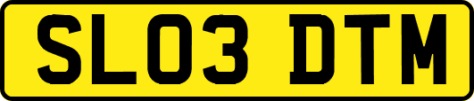 SL03DTM