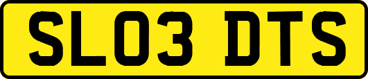 SL03DTS