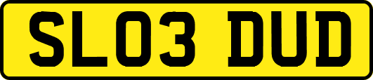SL03DUD