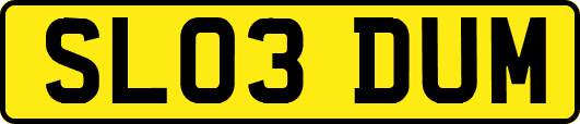 SL03DUM