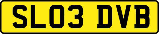 SL03DVB