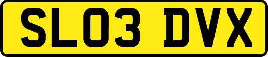 SL03DVX