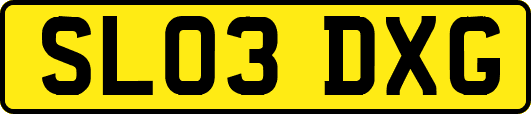SL03DXG