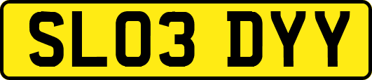 SL03DYY