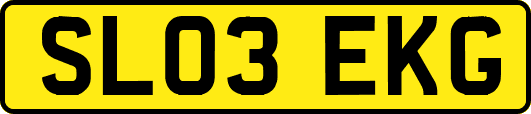 SL03EKG