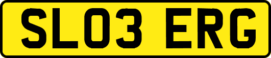 SL03ERG